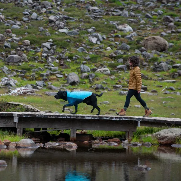 A black dog and a human walking on a wooden bridge over some rocks- the dog is wearing a FurHaven Water-Repellent Reflective Active Pro-Fit Dog Coat