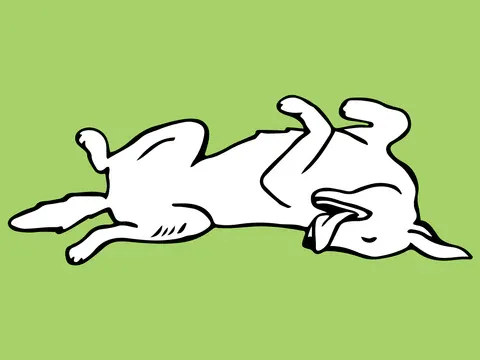 A doodle of a dog lying on it's back with it's tummy up, tongue out, and paws in the air on a green background at FurHaven