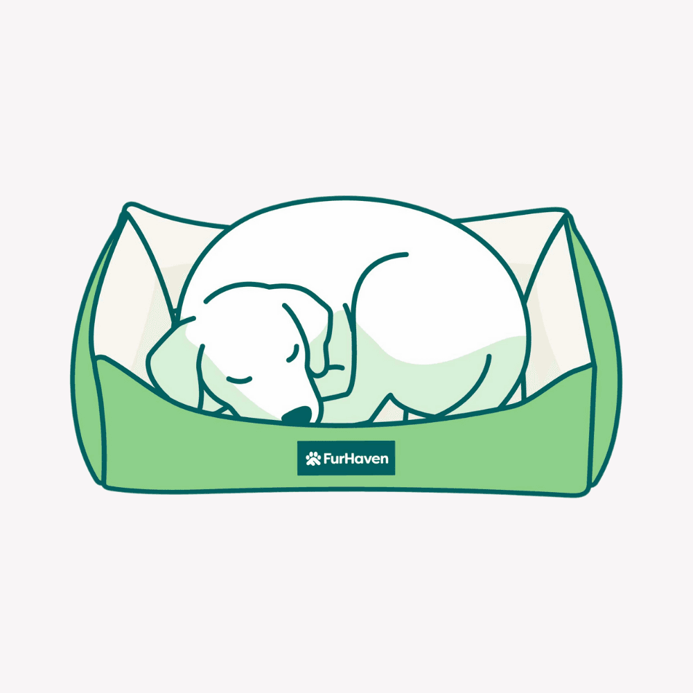 Illustration of a dog curled up in a bed