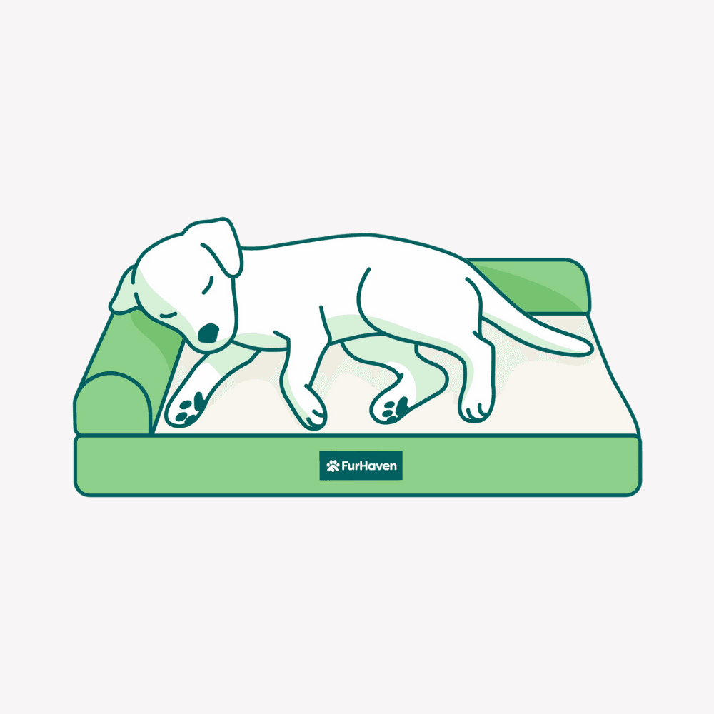 Illustration of a dog resting on a bolstered bed