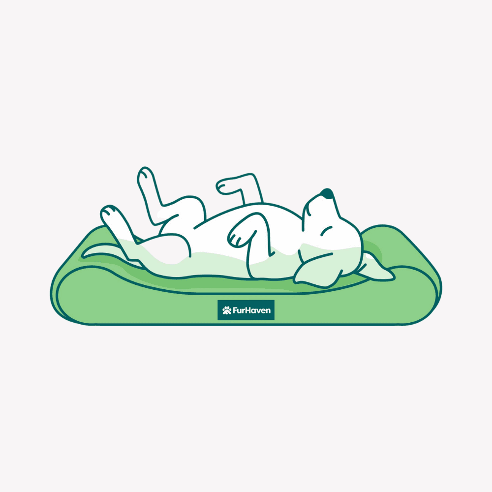Illustration of a dog laying on it's back on bed