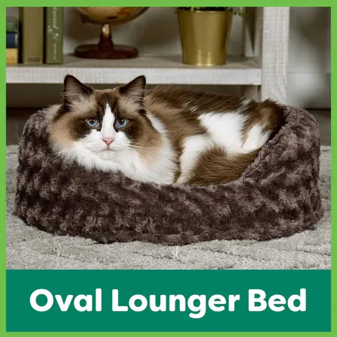 FurHaven_Blog_Curler_Oval_Lounger_Pet_Bed_480x480.webp