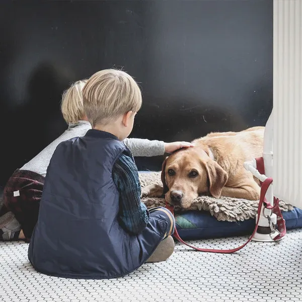 A small child gives a brown/yellow dog a pat on the head, while another child holds a leash for the dog, from Furhaven Pet Product