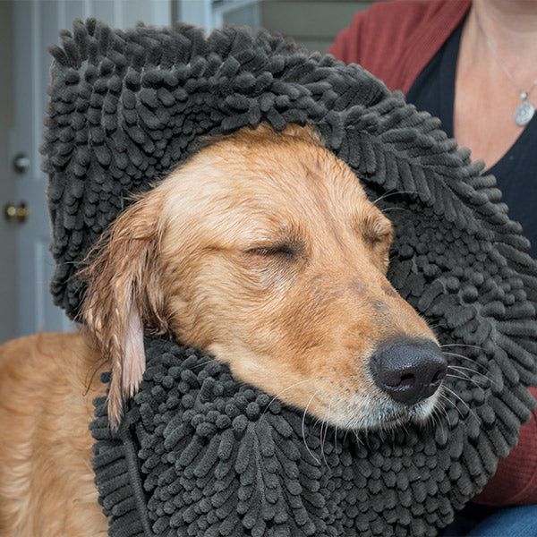 A golden dog using a gray FurHaven Muddy Paws Pet Towel &amp; Shammy Dog Rug