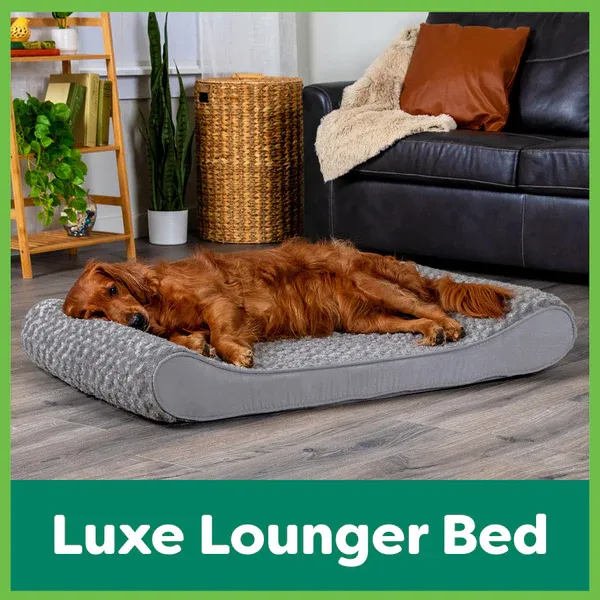 FurHaven_Blog_Sprawler_Luxe_Lounger_600x600.webp