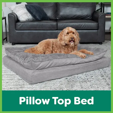 FurHaven_Blog_Sprawler_Pillow_Top_480x480.webp