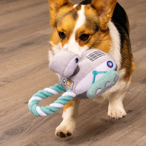 A corgi walks across hardwood floor carrying a FurHaven Rover toy