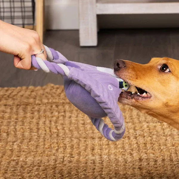 A human and a brown dog play tug with a FurHaven UFO Rope Toy