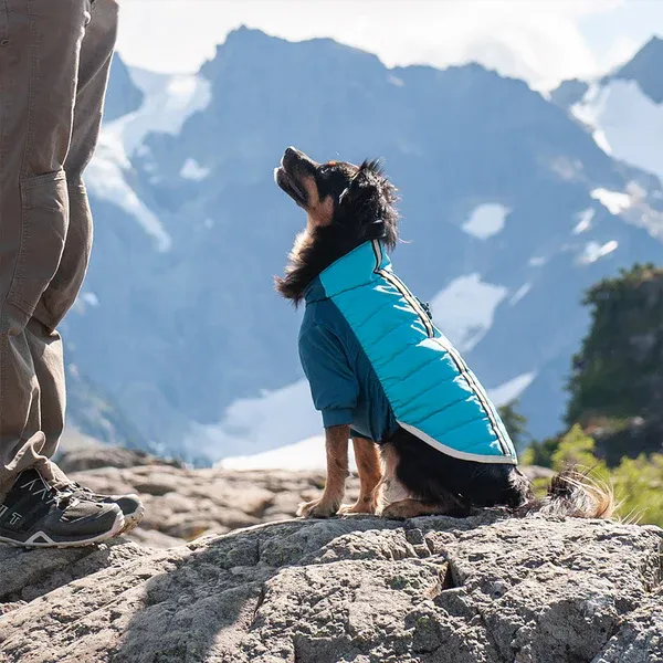 A dog and a human stand on a rocky outcropping with vast mountains and forests in the background. The dog is wearing the FurHaven Water-Repellent Reflective Active Pro-Fit Dog Coat