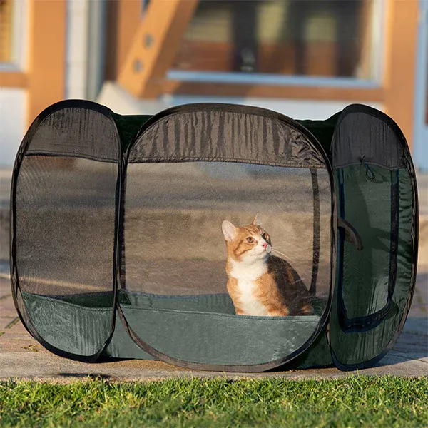 An orange and white cat sitting in a FurHaven Portable Mesh Pet Playpen