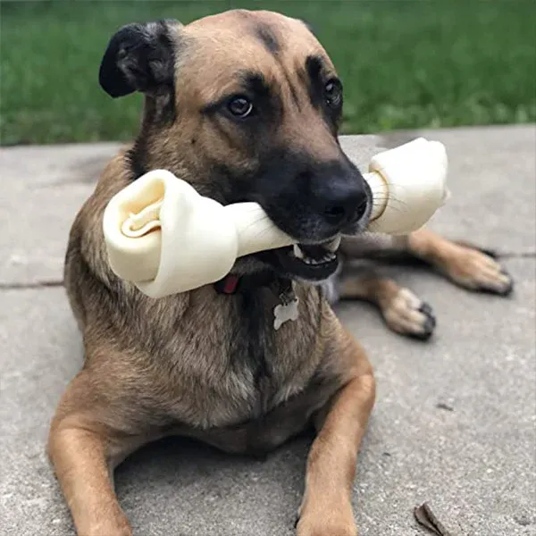 A deep brown dog chewing on a large chew toy while lying on a wood deck, from FurHaven Pet Products