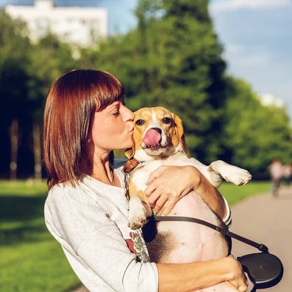 A human in a white shirt giving their brown/white furred dog a kiss on the head out in a park, from FurHaven Pet Products