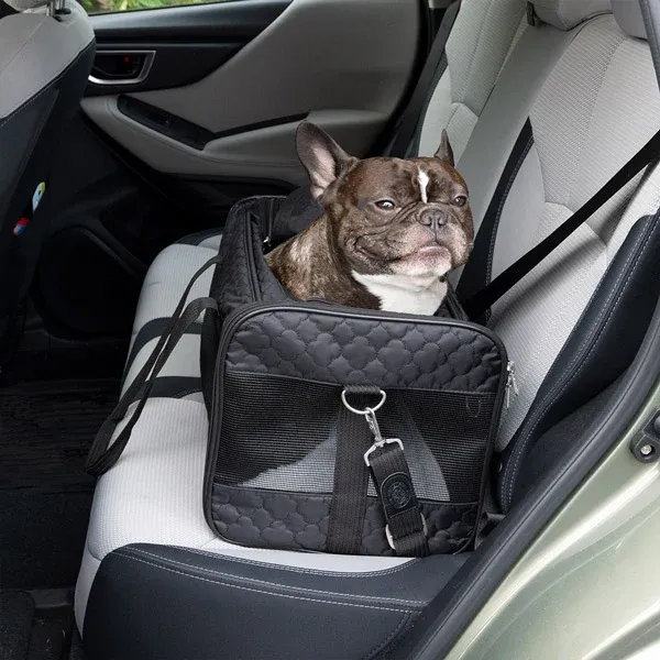 A smug looking pug in a Sherpa Travel Bag Pet Carrier, from FurHaven Pet Products