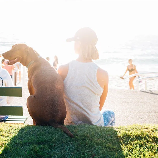 A dog and a human sitting together on a grassy hill, with the sun directly over their heads, casting a long shadow, from FurHaven Pet Products