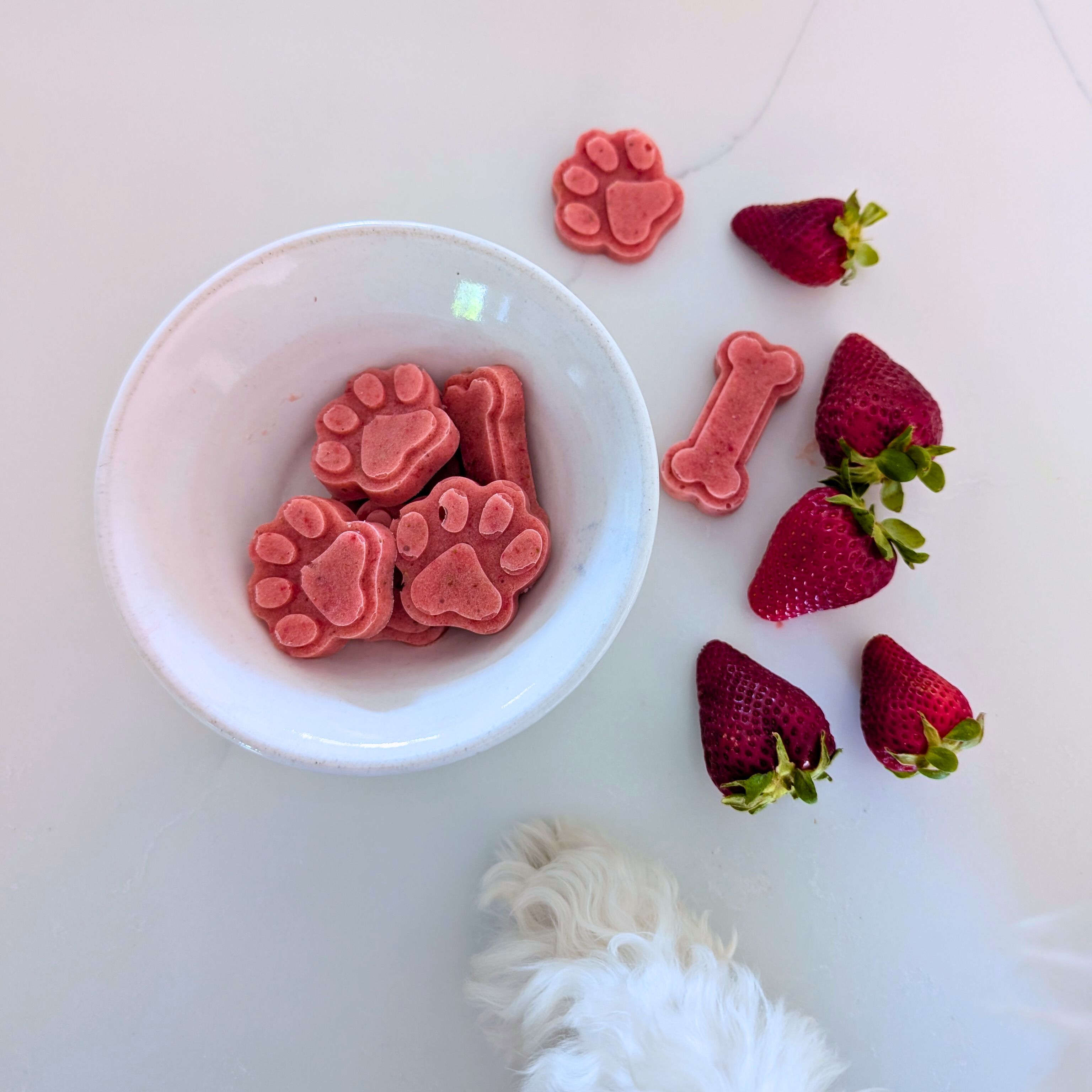 Summer_Smoothie_Dog_Treat_Recipe_4.jpg