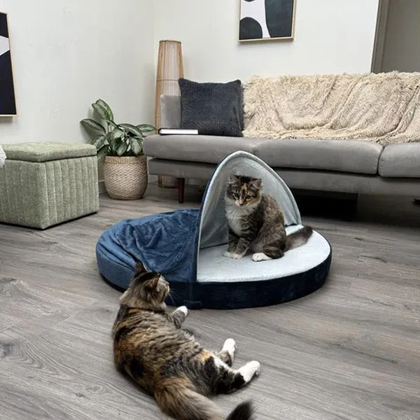 Two grey and black cats sitting in a blue snuggery burrow bed at FurHaven Pet Products