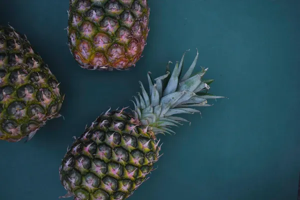 Yellow and green pineapple for dogs against a blue wall at FurHaven Pet Products.