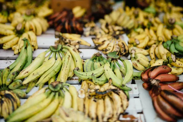 Piles of green and yellow bananas for dogs at FurHaven Pet Products