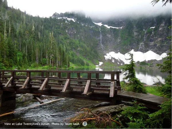 A photo of an old metal bridge over a river near a woody, forested, misty area in the mountains. There is snow and undergrowth in the background, and it appears to be raining, from FurHaven Pet Products