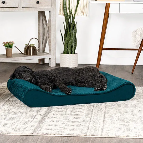 A black, shaggy dog sleeps on top of a blue Luxe Lounger Dog Bed from FurHaven Pet Products