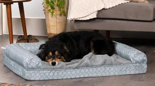 A black and brown dog sleeping on a gray and white FurHaven Diamond Nest Top Pet Bed