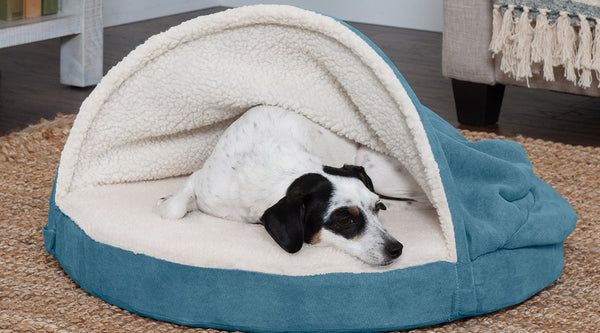 A white, black, and brown dog nestled in a blue and white FurHaven Snuggery Pet Bed